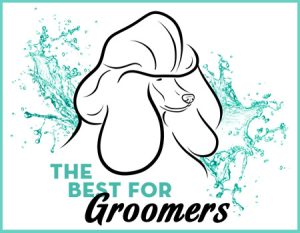 The Best for Groomers